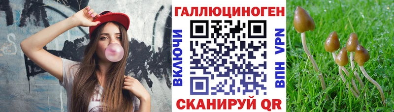 Галлюциногенные грибы мицелий  Купить  Томилино 