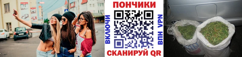 Купить закладки  Томилино  Бошки марихуана ГИДРОПОН 